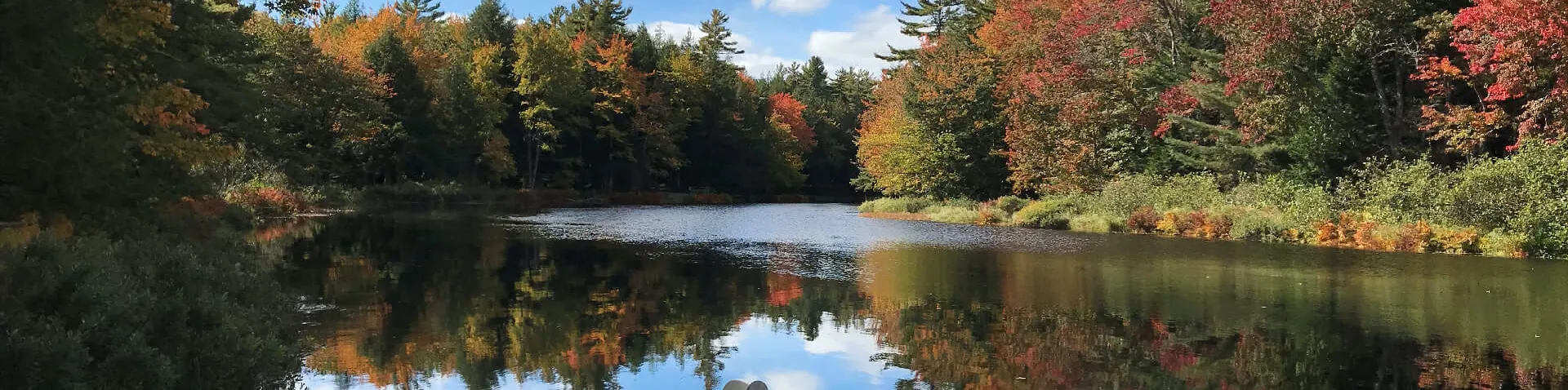 Fluss, Steg und Boot in herbstlicher Landschaft