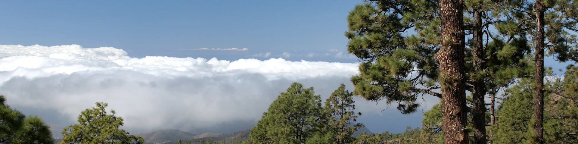 Wolkenlandschaft von einem Berggipfel